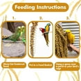 thumbnail image 2 of Advanllent Spray Millet for Birds, Grains, Birds Food Treats, 16oz, 2 of 7