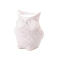 thumbnail image 1 of Fragrance Foundry 10018757 Friendly Owl Oil Warmer, 1 of 3