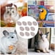 thumbnail image 4 of 10pcs Pet Teeth Grinding Mineral Lava Stone Teeth Grinding Chew Toy Pet Supply (Random Style), 4 of 4