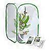 thumbnail image 4 of 2-Pack Insect and Butterfly Habitat Cage, 4 of 5