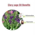 thumbnail image 3 of Karma Organic essential therapeutic grade Essential Oil (15ml) (Clary sage), 3 of 5
