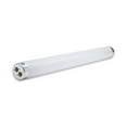 thumbnail image 4 of Replacement for SYLVANIA F14T12/CW Replacement Light Bulb, 4 of 4