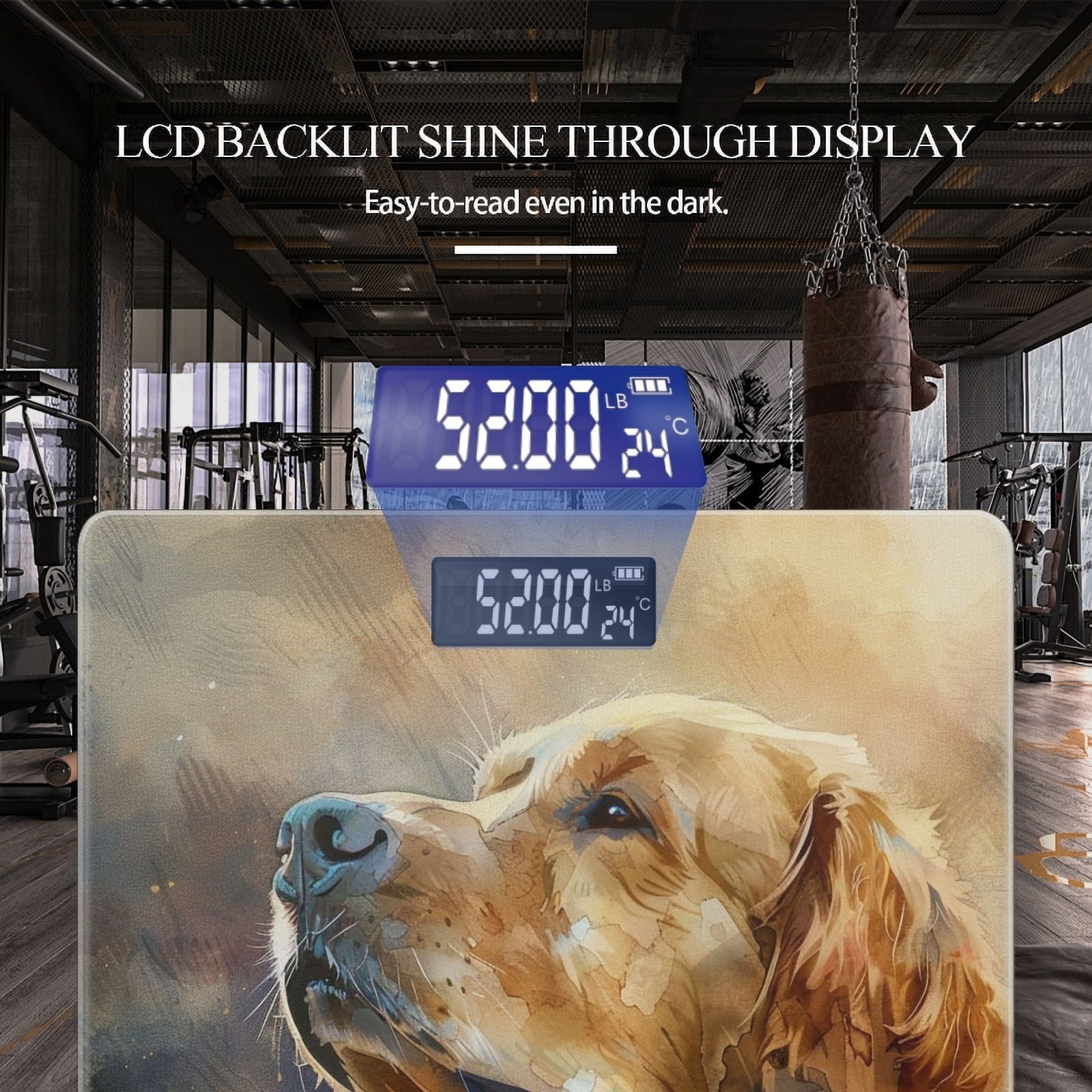 Bathroom Scale, Highly Accurate Digital Body Scale,Precisely Measures Weight up to 400 lbs-Golden Retriever Looking Up At The Sky With Hope