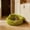Green, variant on 2026 Upgraded Indoor Pet Bed Portable Soft Covered Comfort Sleeping Mat for Cats and Puppies