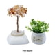 thumbnail image 4 of Yuarrent Árboles de dinero de vida artificial ecológicos hechos con materiales sostenibles Árbol de cristal curativo artificial Decoración del hogar ágata roja, 4 of 6