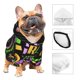 thumbnail image 3 of Balery Mardi Gras3 Sudadera con Capucha para Perros Pequeños – Ropa para Mascotas, Disfraz para Perros y Gatos, Ideal para Fiestas y Cosplay-Medium, 3 of 7
