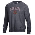 thumbnail image 2 of Men's Alternative Apparel Heathered Black Cornell Big Red The Champ Raglan Pullover Sweatshirt, 2 of 3