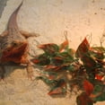thumbnail image 7 of Penn-Plax Reptology Plastic Hanging Vines for Reptiles – 24” Length – Green & Orange, 7 of 7