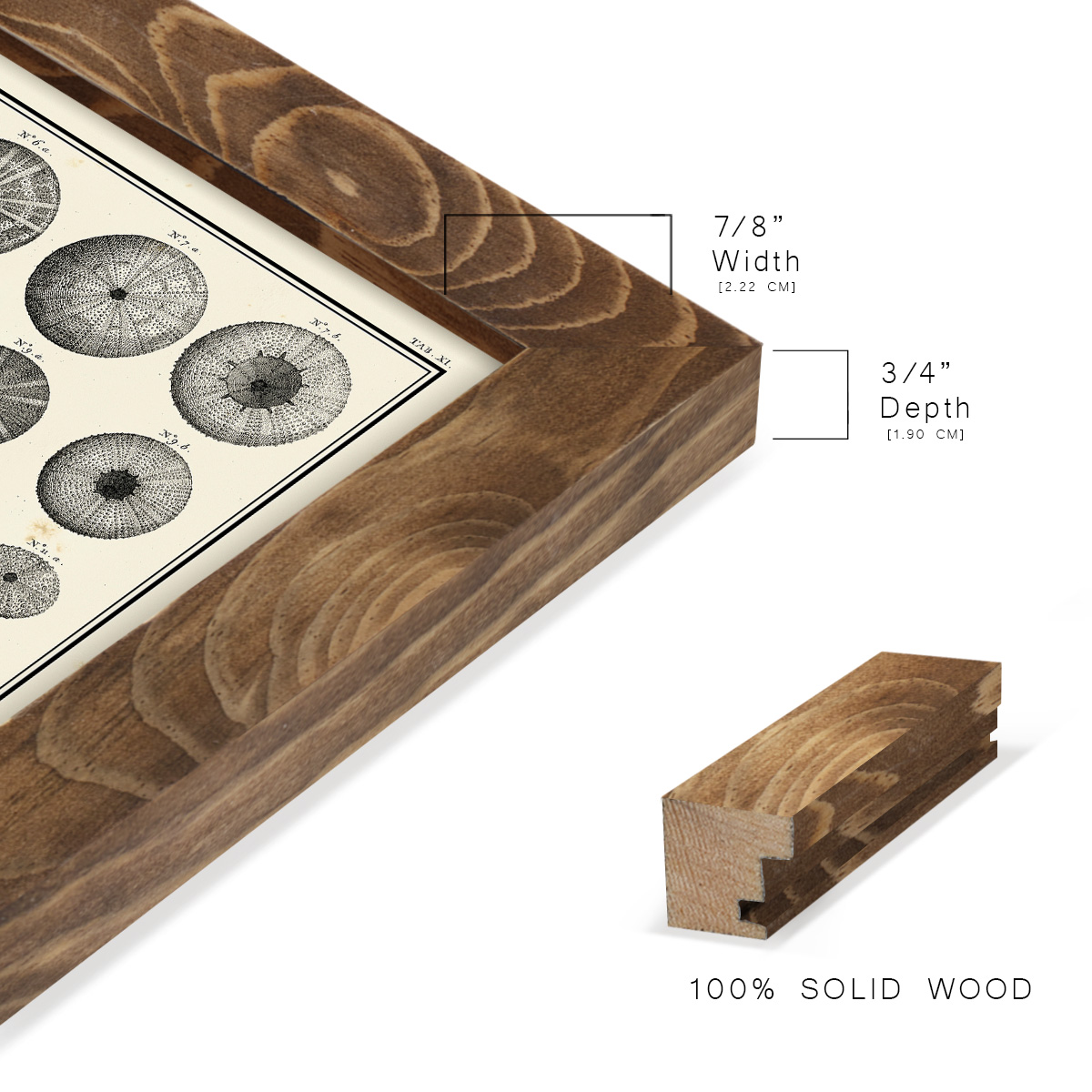 Aegean Collection I -Framed Print w/glass-Walnut