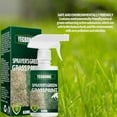 Clearance! GreenGrass Paint For Lawn Spray Plant Dye Repair High