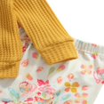 thumbnail image 4 of Infant Baby Girls 3Pcs Spring Autumn Clothes Pullover Tops Floral Print Trousers With Headband Outfit Set 0-6 Months, 4 of 6