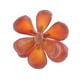 thumbnail image 2 of Suculentas artificiales altas Sunnimix Plantas de simulación, 2 of 8