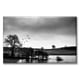 thumbnail image 1 of Cuadro Canva Listo Para Colgar Tipo Galería Bosque Blanco Y Negro 40X60 cm, 1 of 4