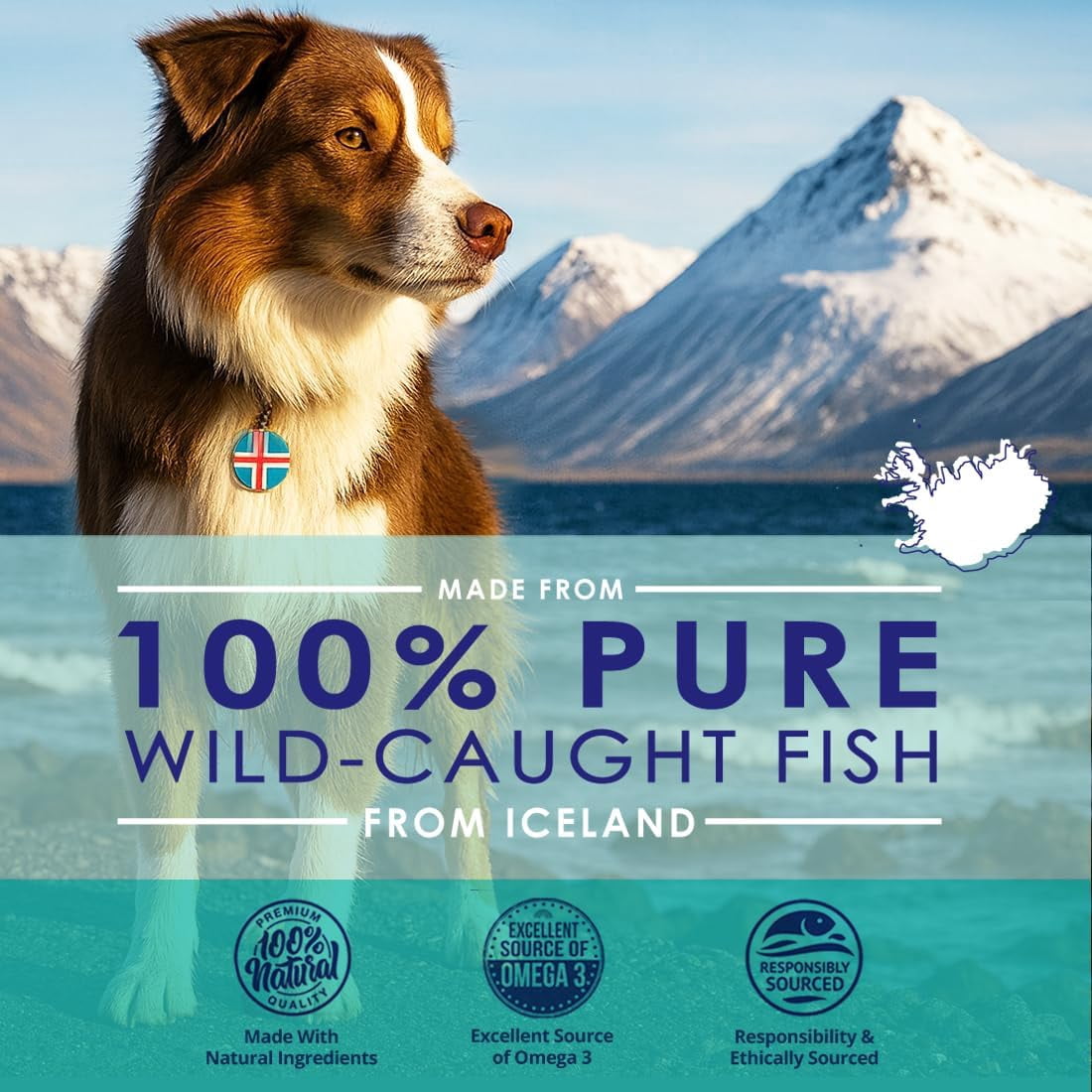 Fish Oil Omega 3 Capsules for Dogs, Skin & Coat, Shedding & Itch Relief, 180ct