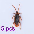 thumbnail image 2 of FN000703-00×5, 2 of 2