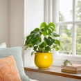 thumbnail image 3 of Ordivic 6 inch Yellow Self Watering Ceramic Plant Pot with Inner Pot,Round African Violet Planter for Mini Orchid, Spider Plant,Kitchen Windowsill,Office Decor, 3 of 7