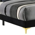 thumbnail image 4 of Lif Platform King Size Bed Panel Tufted Headboard Gold Black Velvet, 4 of 5
