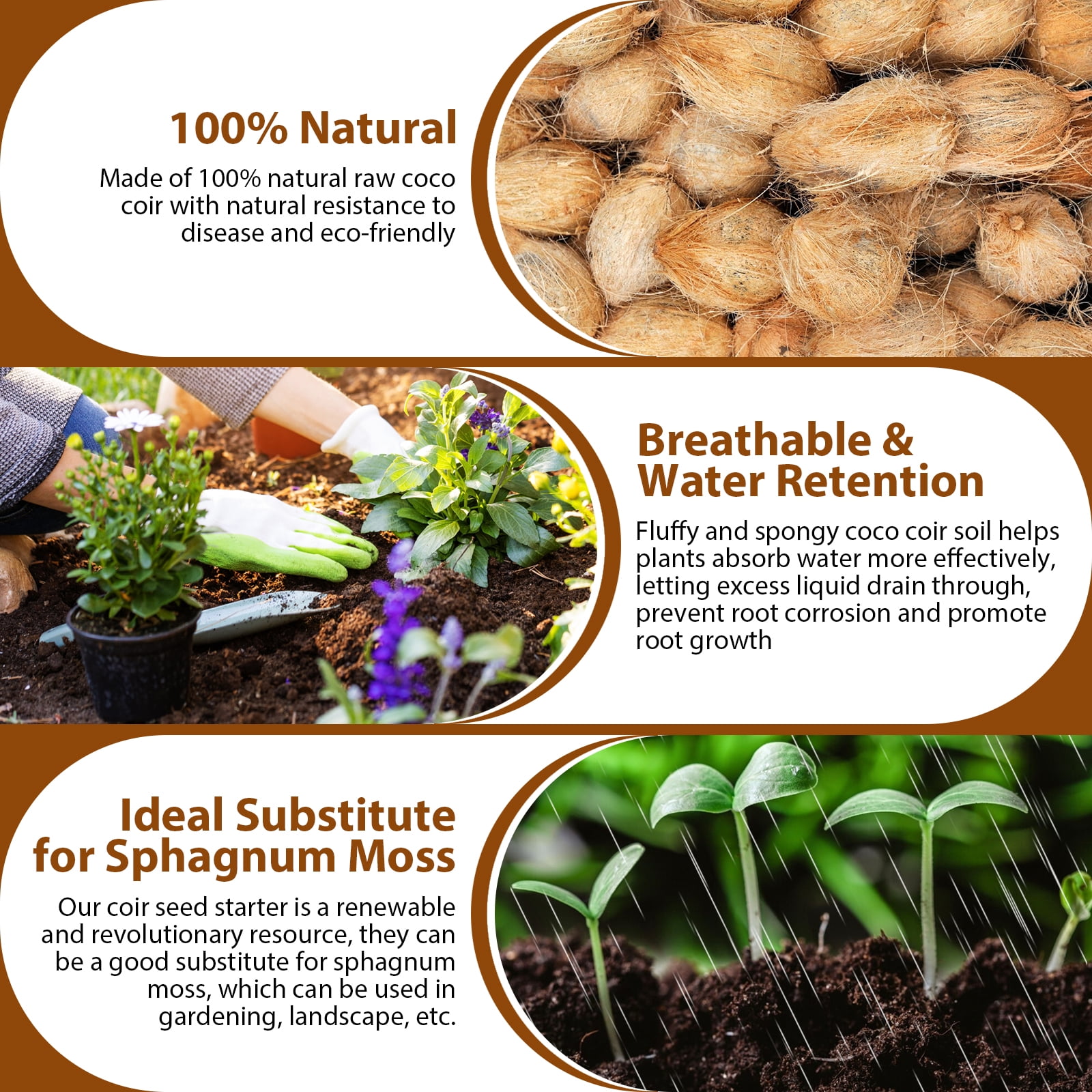 Pack of 10 Organic Coco Coir Bricks- 100% Natural Compressed Coco Peat Brick Coconut Fiber Substrate with Low EC& pH Balance, Coir Plant Soil Enhance Root Growth for Herbs, Flowers, House Plants