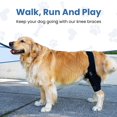 Rocky Rayz Dog Knee MMF7 Brace for Torn ACL Hind or Front Leg
