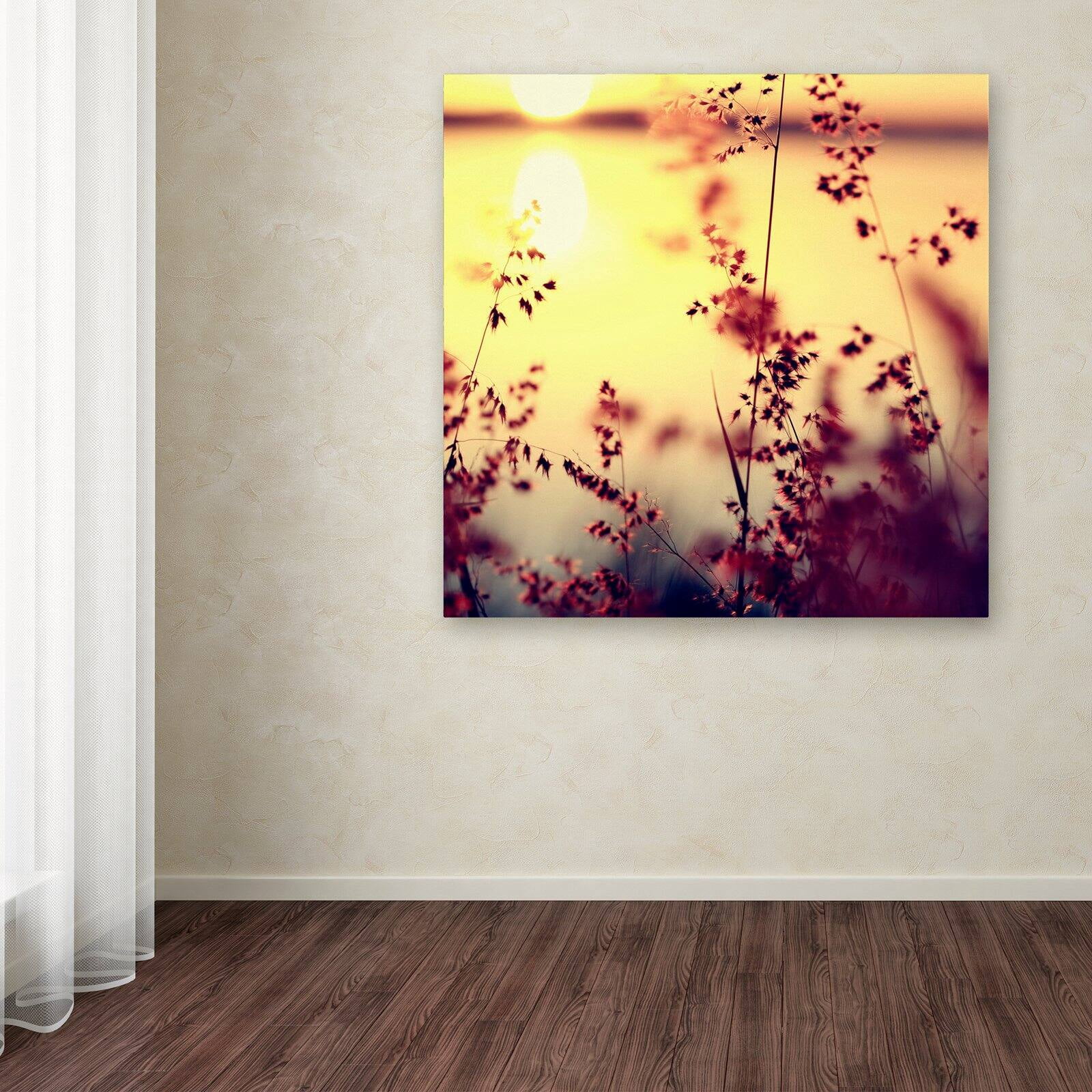 Trademark Fine Art "At the End of the Day" Canvas Art by Beata Czyzowska Young