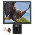 thumbnail image 1 of Attacking Eagle - Night Light, 1 of 4