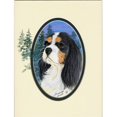 thumbnail image 1 of Cavalier Drapeau d'Épagneul Taille Jardin, 1 of 1
