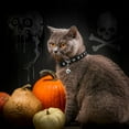 thumbnail image 2 of Collar de gatito Azuza Halloween Breakaway, paquete de 4, ajustable, 2 of 6