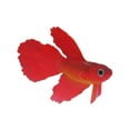 thumbnail image 1 of fastboy Silica Gel Impeccable Gift Luminous Artificial Simulation Goldfish For Fish Lovers Wide Application red 1Set, 1 of 6