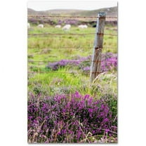 Trademark Fine Art "Symbol" Canvas Art by Philippe Sainte-Laudy