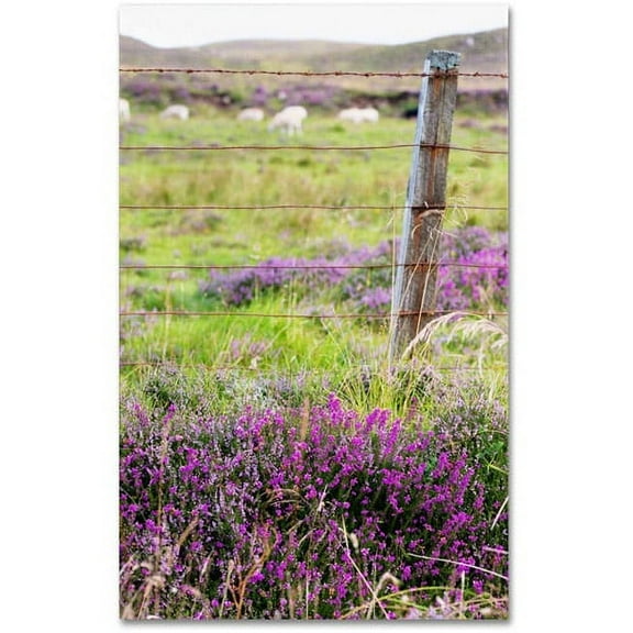 Trademark Fine Art "Symbol" Canvas Art by Philippe Sainte-Laudy