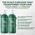 thumbnail image 2 of KESMEDIK Tea Tree Lavender Shampoo & Conditioner Set with Mint & Rosemary, Cleanses, Cools & Soothes Dry, Itchy Scalp, Sulfate & Paraben-Free, For All Hair Types, 16 fl oz Each, 2 of 7
