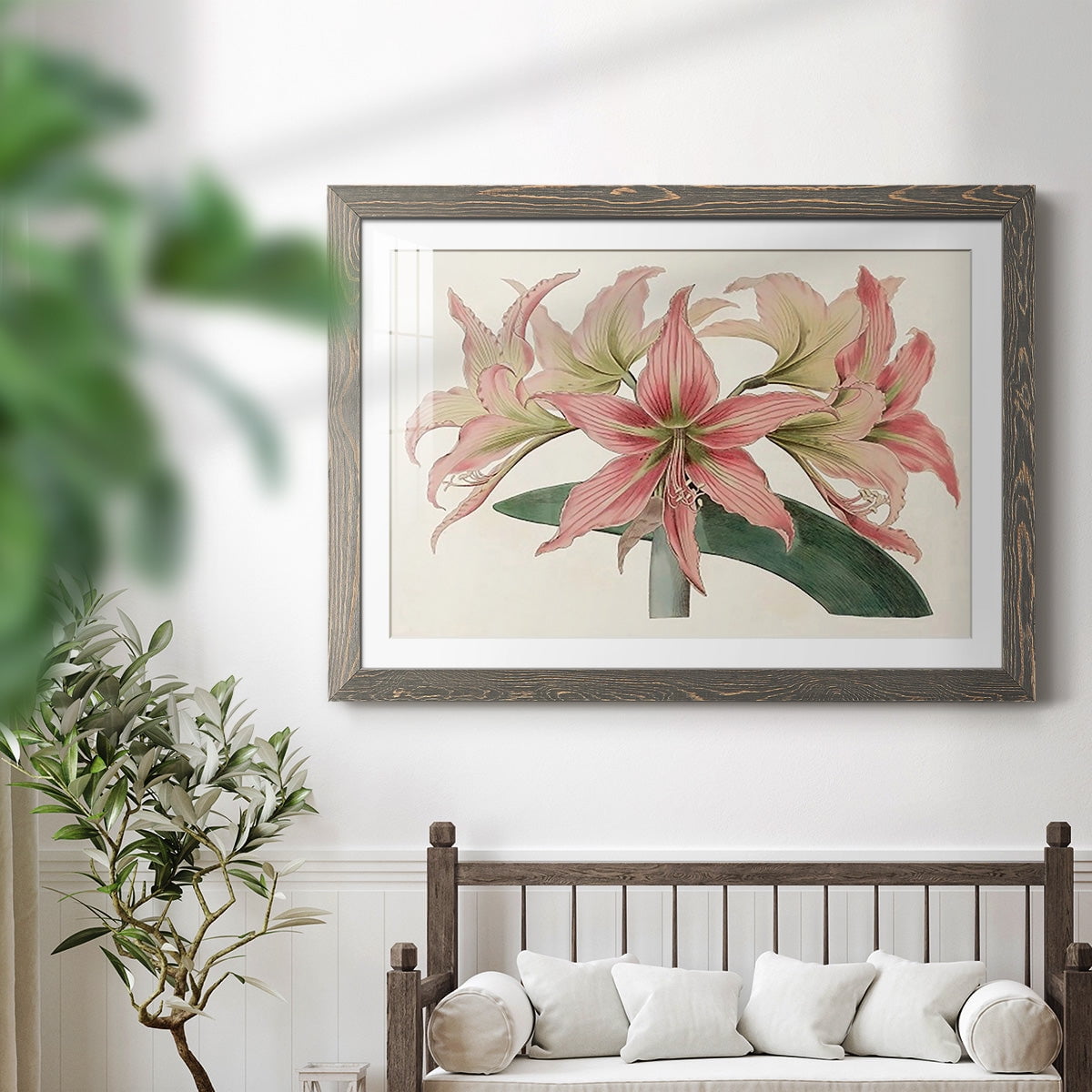 Amaryllis Varietals I-Premium Framed Print - Ready to Hang