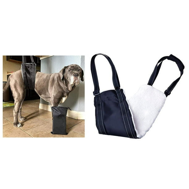 Dog Harness Lifting Support for Rear Leg Pet Auxiliary Belt Dog Walking Support S Walmart