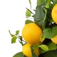 thumbnail image 6 of Northlight Lemons and Assorted Foliage Spring Wreath - 20" - Yellow, 6 of 8