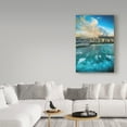 thumbnail image 3 of Trademark Fine Art 'Scorpion In The Sky' Canvas Art by Cameron Brooks, 3 of 3