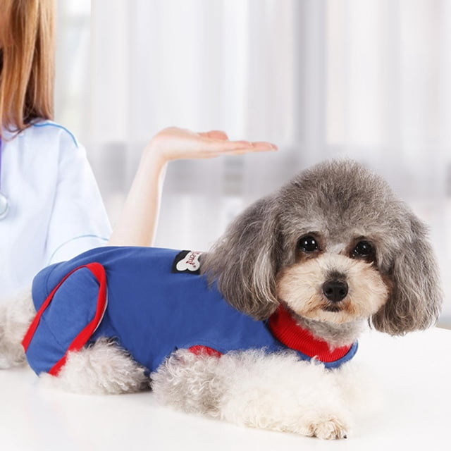 Ropa de Cirugía Salvador Chaleco Postoperatorio para Perros Herida Abdominal Traje de recuperación de cachorros
