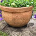 thumbnail image 3 of 48 PCS Invisible Pot Feet with Enhanced Non-Slip Surface Grip Plant Pots and Flowers, Solid Rubber Pots Risers, Pot Lifters for Indoor or Outdoor Planters, 3 of 4