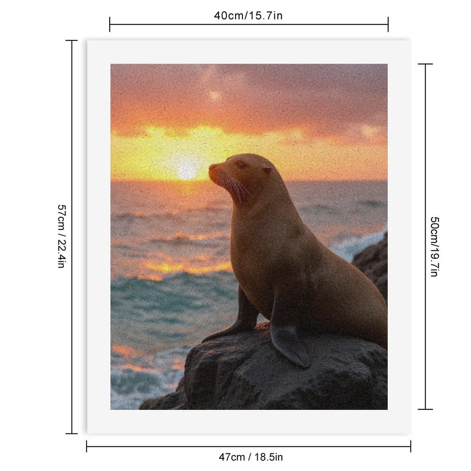 Paint By Numbers Kit for Adults Beginner - Sea Lion Sunset Rock Scene DIY Canvas Painting Kits for Adults, Frameless Paint By Number for Adults for Home Wall Decor 16x20 Inch