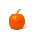 thumbnail image 1 of Autumn Gold Hybrid - Pumpkin Seeds, Non-GMO, 1 of 3