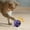 Purple×2, variant on 2025 Hollow Balls Bells Inside Cleaning Teeth Interactive Training Rubber Ball for Pets (Yellow)