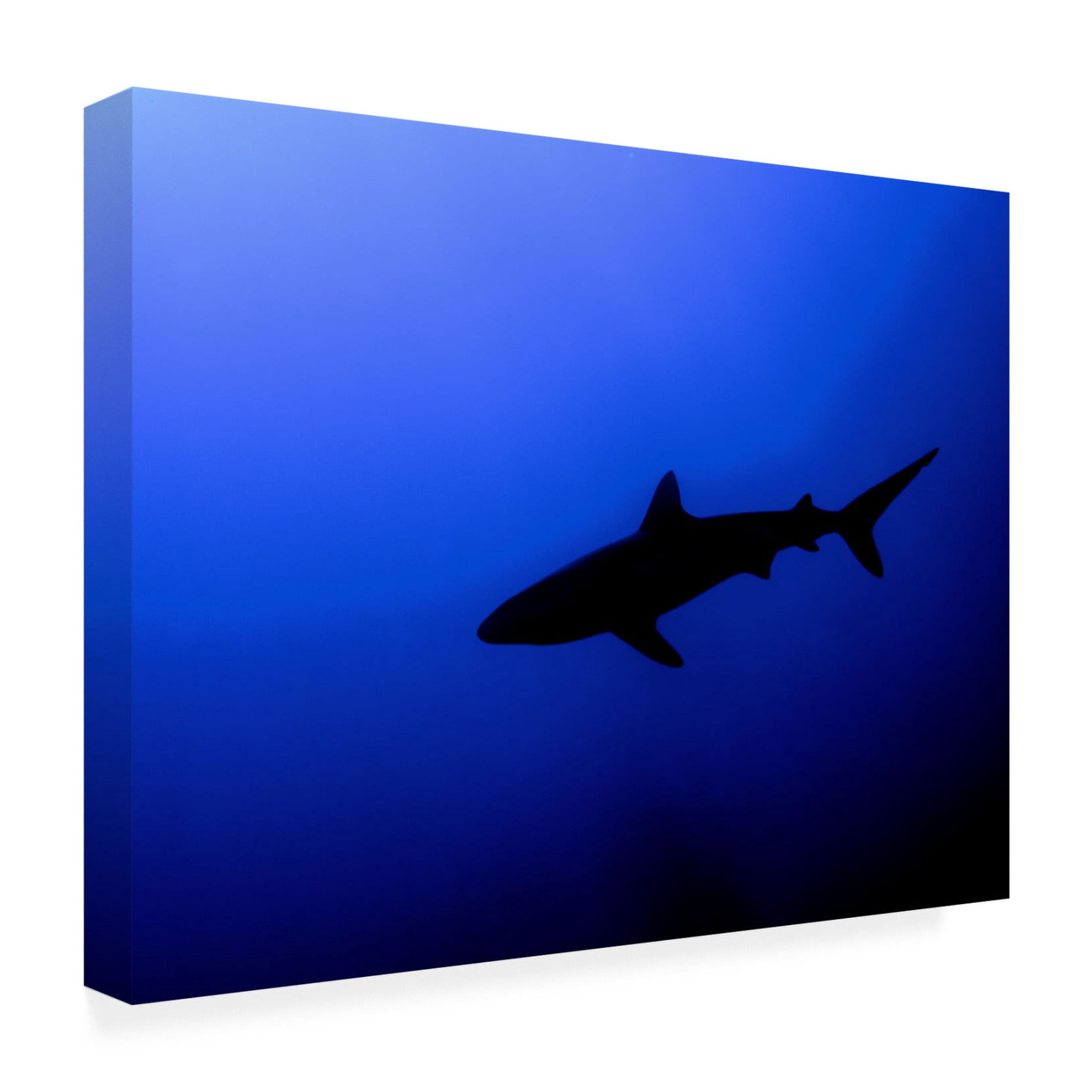Canvas Wall Art - Ilan Ben Tov 'Silhouette' Wall Art for Living Room, Bedroom, or Office Décor by Trademark Fine Art - 32 x 24 Inches