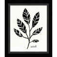 thumbnail image 1 of Great Art Now Botanical Sketches III by Anne Tavoletti, Framed Wall Art, 20W x 24H, 1 of 2