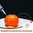thumbnail image 4 of MOVTOTOP 2 Sets Fruit Battery Experiment Kit Toy for Toddler Energy Science Generation, 4 of 8
