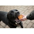 thumbnail image 6 of Blue Dog Bakery More Crunch Assorted Flavors Biscuit Treats for Dogs, Large, 1 lb. 2 oz., 6 of 8