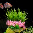 thumbnail image 4 of Guiexla Simulation Water Grass Artificial Aquatic Plants Realistic Colors DIY Fish Tank Decor Easy Care Fish-safe Aquarium Decorative Accessories for Landscaping, 4 of 8