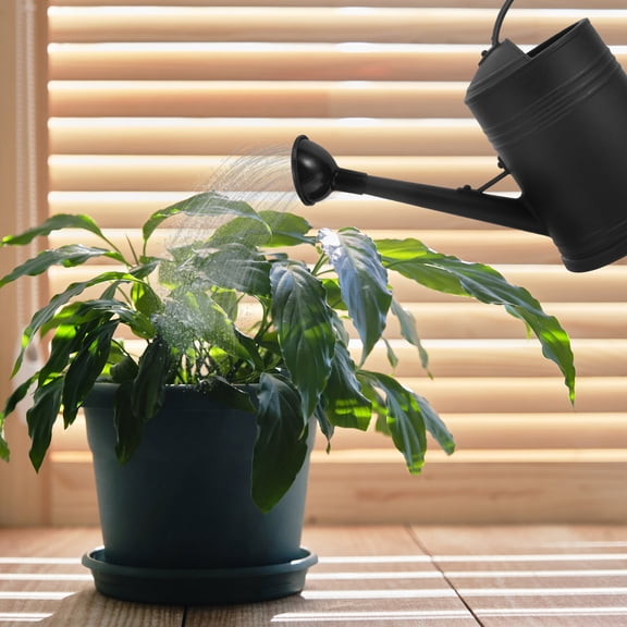 Hemobllo Black Plastic Watering Can with Large Capacity and Comfortable Handle for Plants
