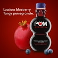 thumbnail image 4 of POM Wonderful Antioxidant Pomegranate Blueberry 100% Juice, 16 fl oz, 4 of 9