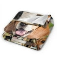 thumbnail image 2 of Beagle Blanket Gifts For Kids Adults - Lightweight Throw Blanket For Bedroom Living Room Decor Soft Fuzzy Fleece Cozy Plush Bed Couch 80"X60", 2 of 7