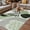 Sage Green, variant on Boho Geometric Outdoor Rug for Patio/Deck/Porch, Non-Slip Large Area Rug 4 x 6 Ft, Farmhouse Green Abstract Stripes Leaves Indoor Outdoor Rugs Washable Area Rugs, Reversible Camping Rug Carpet Runner