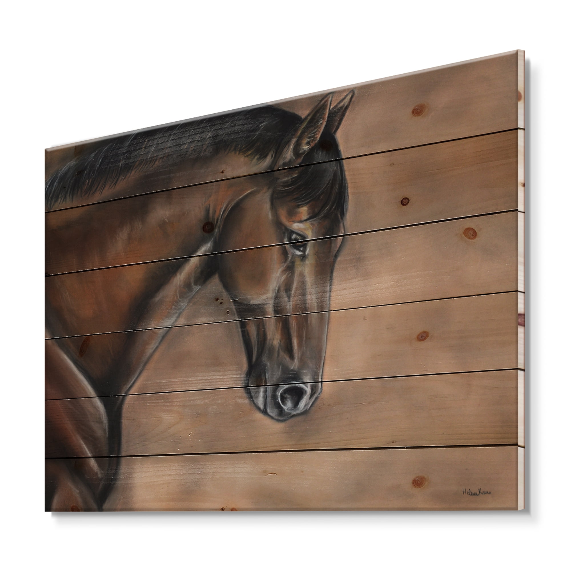 Designart 'Close Up Portrait Of A Brown Bay Horse' Farmhouse Print on Natural Pine Wood